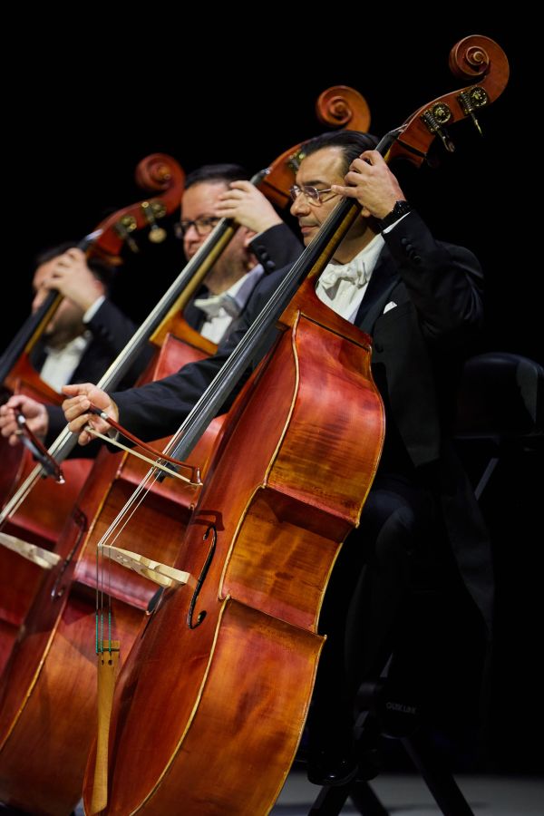 Welcoming Hungary to Dubai